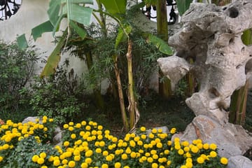 Private Suzhou Tour with Noodle Breakfast and Garden Visit