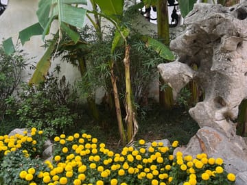 Suzhou Private Tour- All inclusive