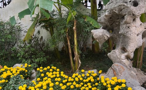 Private Suzhou Tour with Noodle Breakfast and Garden Visit