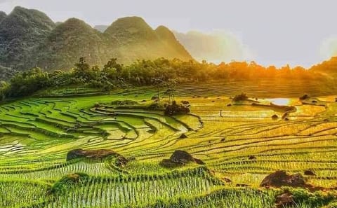 Off-Road Trekking and Waterfall Adventure in Pu Luong from Hanoi