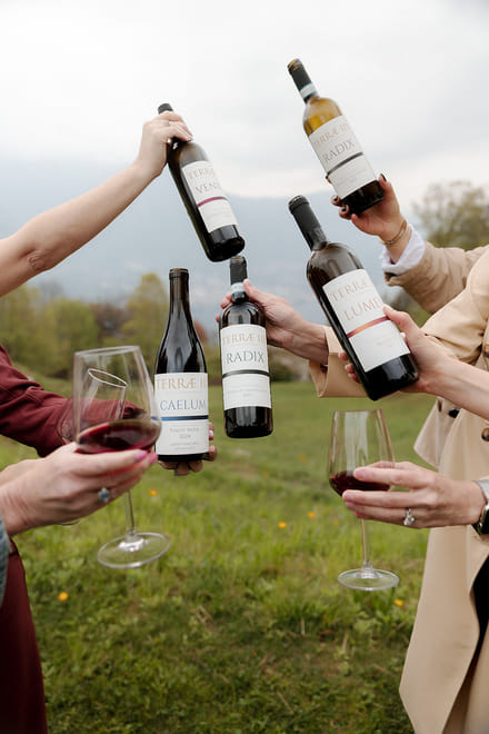 Bellagio: Wine Tasting Experience with Lake Como Views - Photo 21