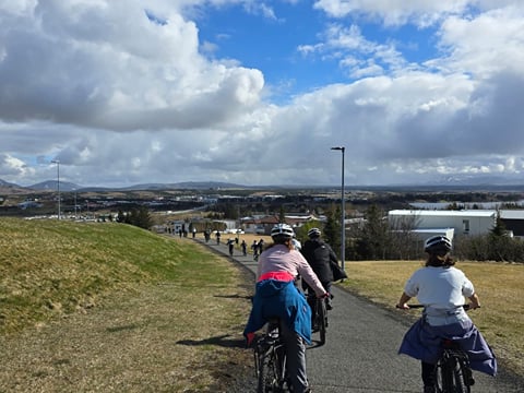 Nature of Reykjavik Private Bike Tour, photo 7