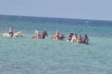 Private ATV and Horseback Riding Tour in Saint Ann's Bay