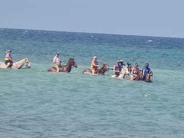 Private ATV and Horseback Riding Tour in Saint Ann's Bay