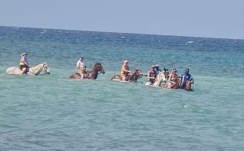 Private ATV and Horseback Riding Tour in Saint Ann's Bay