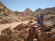 Nabq Protectorate Adventure Private Safari in Sharm EL Sheikh 10