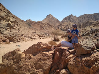 Nabq Protectorate Adventure Private Safari in Sharm EL Sheikh 10