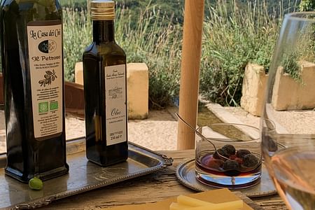 Olive Oil Experience: Tasting, Garden Walk, and Stunning Views in Valpolicella