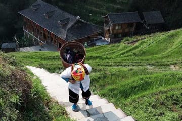 Longji Rice Terraces and Minority Village Cultural Tour