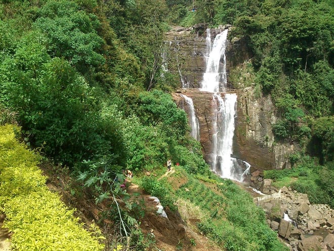 Experience of One Day Nuwara Eliya 4
