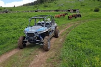 Private 1-Hour Quad or Buggy Safari in Borovets 7