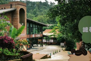 Yunnan Coffee Valley Half-Day Tour with Tastings and Insights