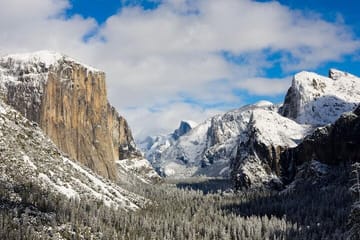 Private Full Day Yosemite National Park Tour from San Francisco