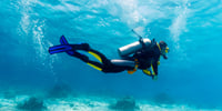 Premium Scuba Diving for Beginners, 2 Diving Stops & Lunch - Hurghada
