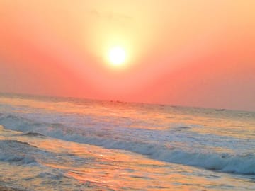 Cultural Tour of Odisha Temples and Mangrove Forests