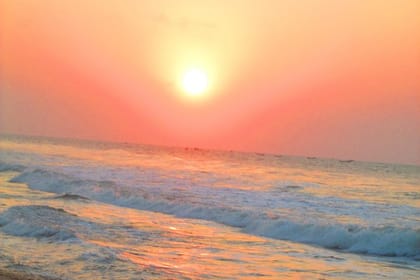 Odisha Temple & Mangrove Forest