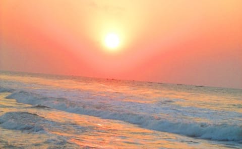 Cultural Tour of Odisha Temples and Mangrove Forests