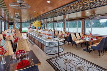 Cozy Bay Cruise 5 Star Halong Day Trip from Hanoi by Expressway