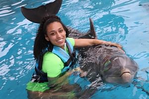 Dolphin Swim Adventure at Gulf World Marine Park