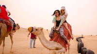 Private Dubai City Tour And Desert Safari For One Or Six persons with the same Price   3
