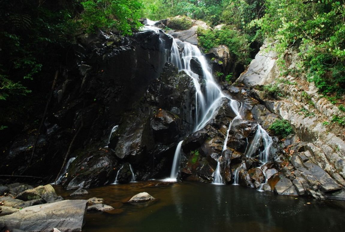 Pala U Waterfall & Kaeng Krachan Jungle Tour with Private Guide