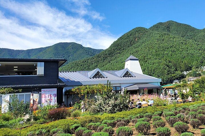 2 Days Private Tour: Tokyo / Mt Fuji and Hakone