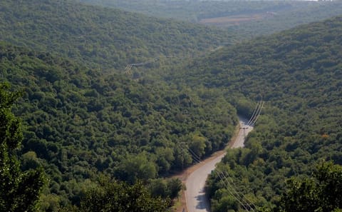 7-Day Cultural and Nature Tour of Jordan's Highlights