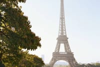 CDG Transfers with Eiffel Tower and Walking Tour of Belleville. 3