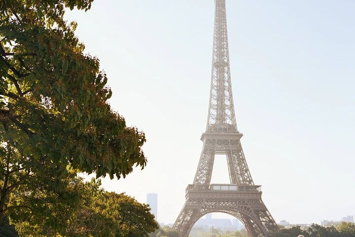 CDG Transfers with Eiffel Tower and Walking Tour of Belleville. 3