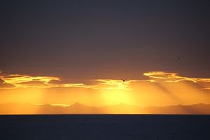 midnight sun tours reykjavik