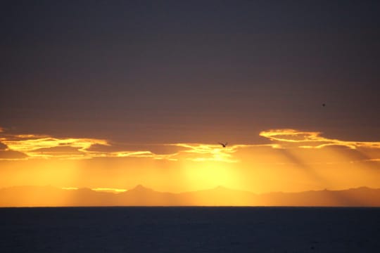 Midnight Sun Tour