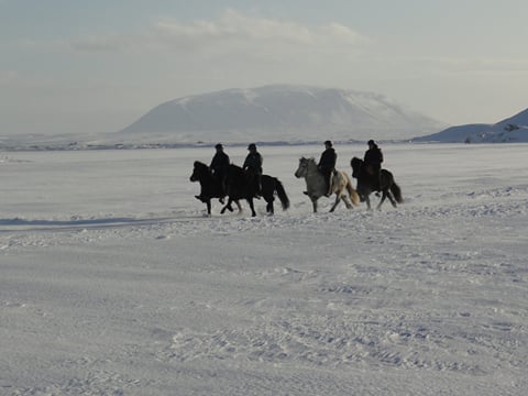Riding on ice - Lake Myvatn, photo 6