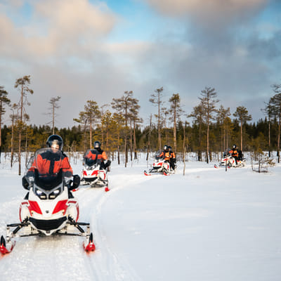 Sähkömoottorikelkkasafari Rovaniemellä - Image 22