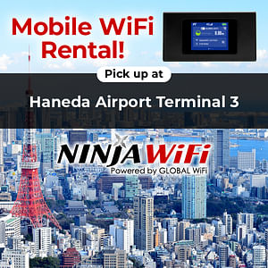 20% OFF: Japan Mobile WiFi - Haneda Airport (Tokyo) Terminal 3 Pickup