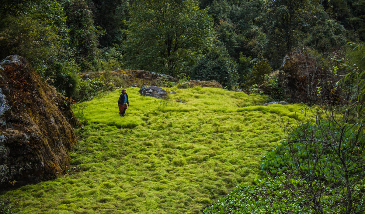 19 Days Mera Peak Climbing & Expedition – One Life-Changing Himalayan Adventure