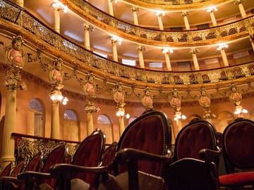 9-Day Culinary and Cultural Tour of Rio de Janeiro and Manaus