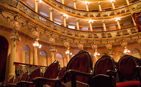 9-Day Culinary and Cultural Tour of Rio de Janeiro and Manaus