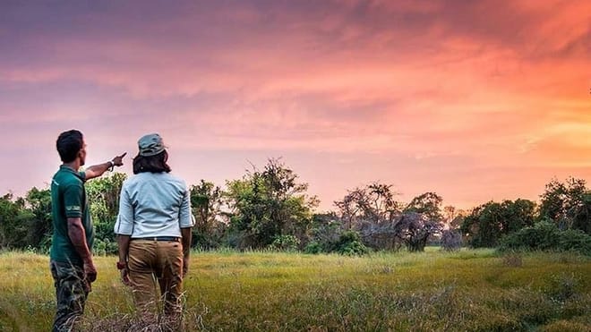  From Negombo: Wilpattu National Park Safari 6