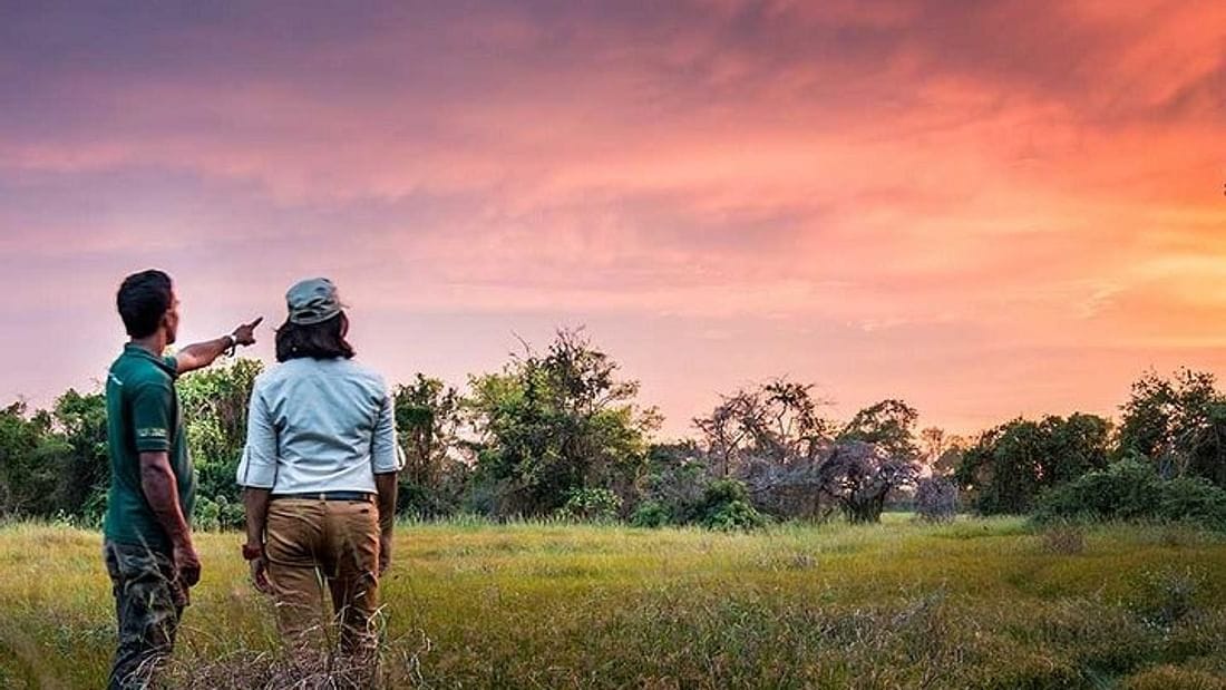  From Negombo: Wilpattu National Park Safari 6