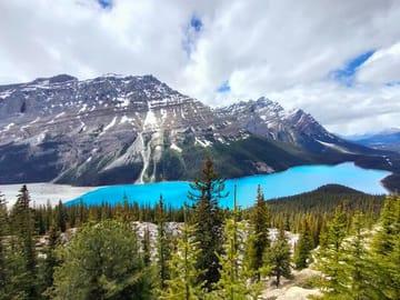 Guided Nature Tour of Lake Louise and Moraine Lake from Canmore
