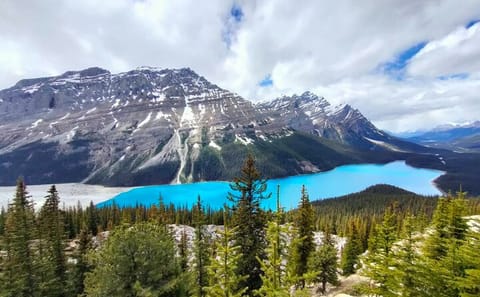 Guided Nature Tour of Lake Louise and Moraine Lake from Canmore