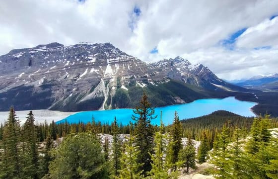 Lake Louise, Moraine Lake, Peyto Lake, Crowfoot Tour from Canmore