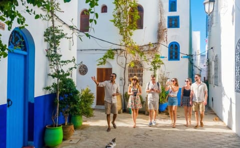 Day Trip from Tangier to Asilah – Private Van & Driver