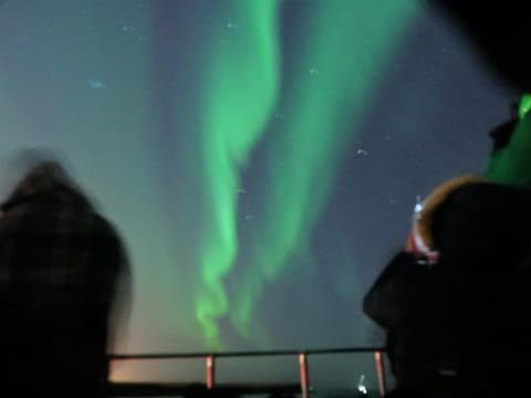 Northern Lights by Boat from Reykjavik, photo 5
