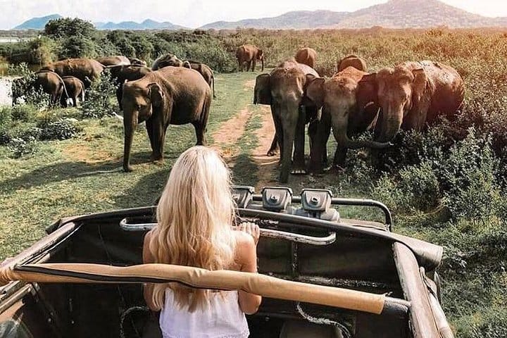 Glamourous Sri Lanka 7 Days Tour