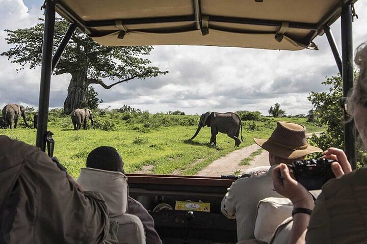 Masai Mara 4×4 Jeep Safari: Witness the Great Migration and Big Five