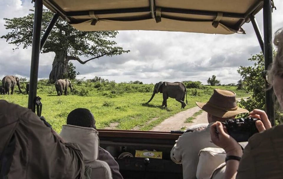 4 Days Masai Mara 4×4 Jeep Lodge Safari