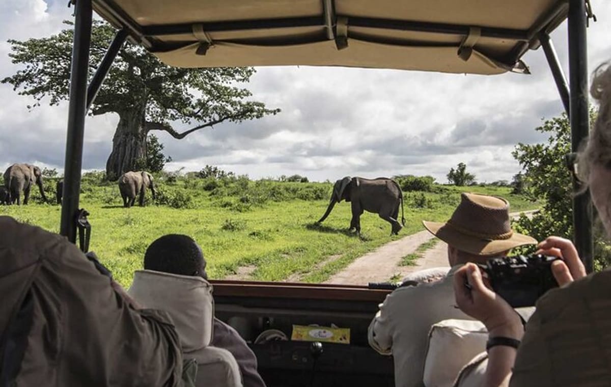 4 Days Masai Mara 4×4 Jeep Lodge Safari