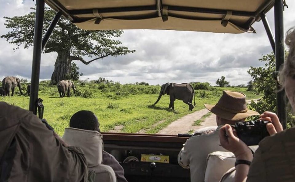 4-Day Masai Mara 4x4 Jeep Safari from Nairobi