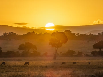 3 days group to maasai mara in 4×4 landcruiser no park fees